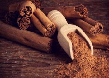 Ceylon Cinnamon Supplements
