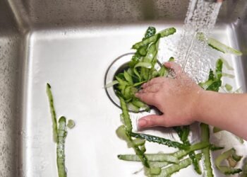 The Secrets to Keeping Your Garbage Disposal Clean and Odor-Free