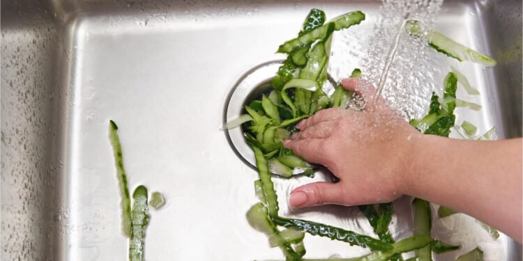 The Secrets to Keeping Your Garbage Disposal Clean and Odor-Free