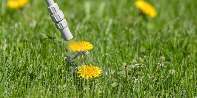 Weed Killer For Lawns