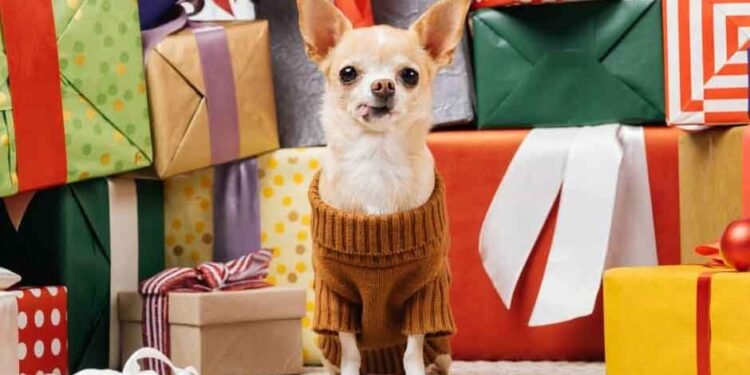 Why Choose Unique Gifts for Dog Lovers