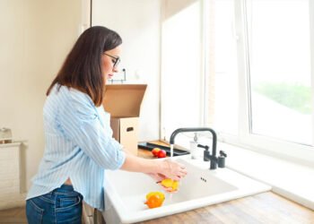 A Homeowner's Guide to Maintaining a Healthy Garbage Disposal