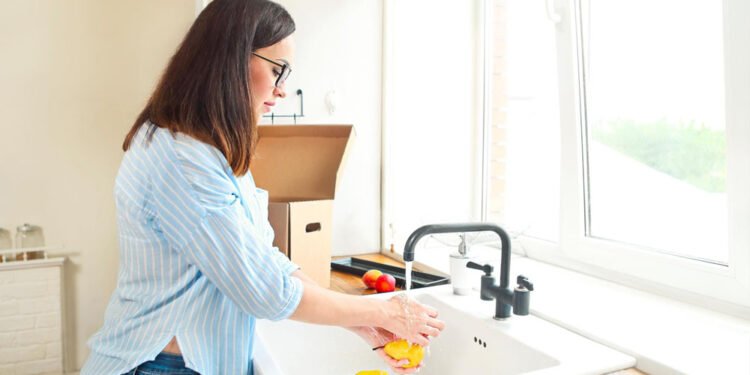 A Homeowner's Guide to Maintaining a Healthy Garbage Disposal