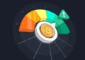 Crypto Volatility and Risk Management