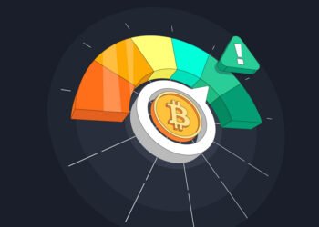 Crypto Volatility and Risk Management