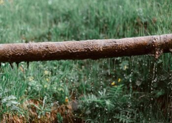 How to Tell If You Need to Replace Your Sewer Line
