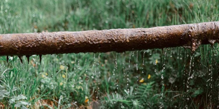 How to Tell If You Need to Replace Your Sewer Line