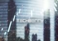 Techberry Review