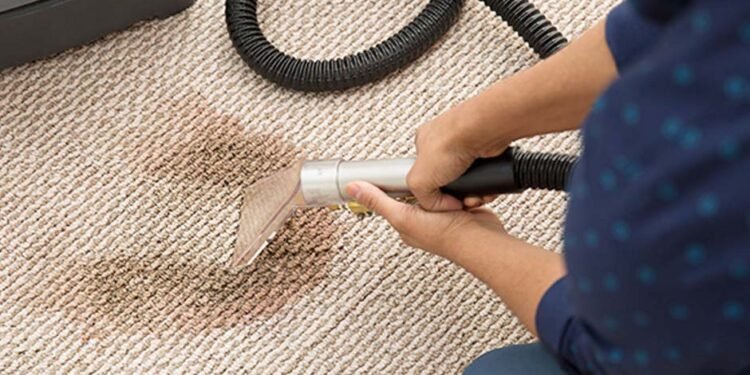 How Expert Carpet Cleaning