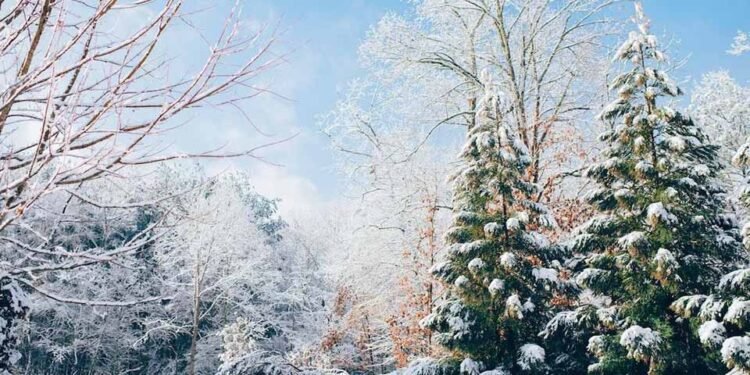 The Ideal Vacation Spots to Explore This Season