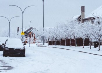 How to Protect Your Vehicle Against the Elements