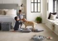Pets and Carpet Tiles in Your Home