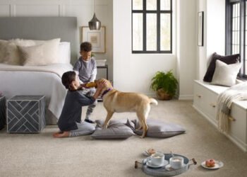 Pets and Carpet Tiles in Your Home