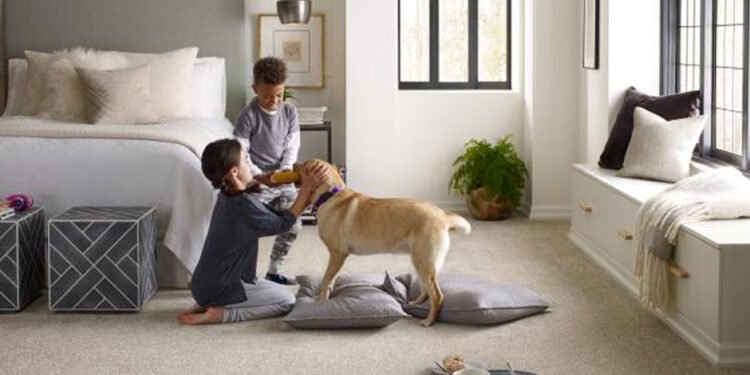Pets and Carpet Tiles in Your Home