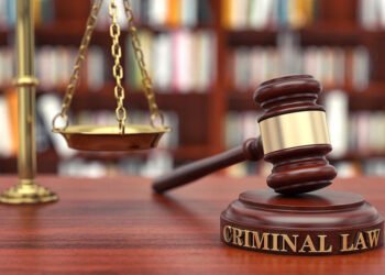 Criminal Defense Lawyer