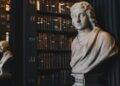 Essential Skills for a Successful Law Firm Chief Operating Officer