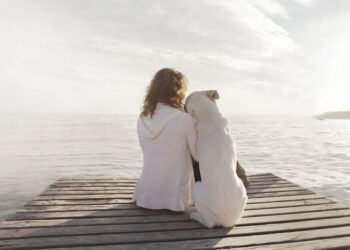 How to Get Your Dog as an Emotional Support Animal