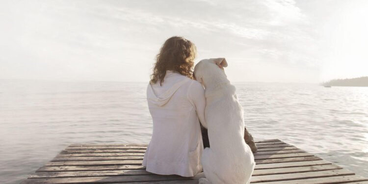 How to Get Your Dog as an Emotional Support Animal