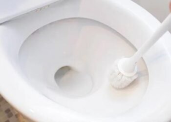 How to Remove Stubborn Toilet Bowl Rings Completely - 6 Tips