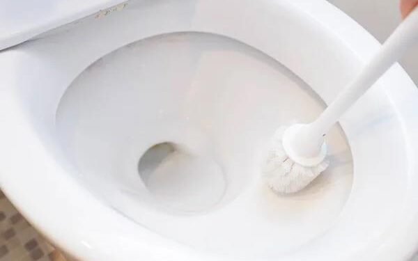 How to Remove Stubborn Toilet Bowl Rings Completely - 6 Tips