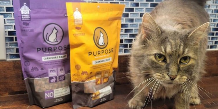 The-Pros-and-Cons-of-Freeze-Dried-Cat-Treats