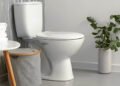 toilet problems