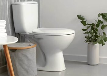 toilet problems