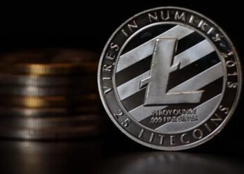 Litecoin Wealth Strategies