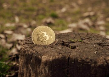 Beyond Bitcoin: Exploring Alternative Cryptocurrencies and Their Potential