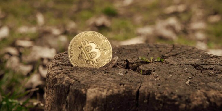 Beyond Bitcoin: Exploring Alternative Cryptocurrencies and Their Potential