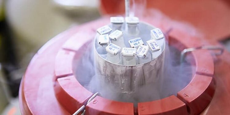 Fresh Frozen Biospecimens for Oncology Research Buyers