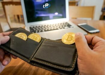 Beyond Bitcoin: Exploring Alternative Cryptocurrencies and Their Potential