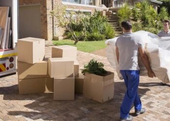 Exploring Energy-Efficient Roofing Options for Eco-Friendly Homes