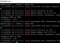 Recover mdadm based RAIDs