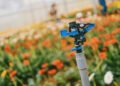 Transforming Lawns and Gardens