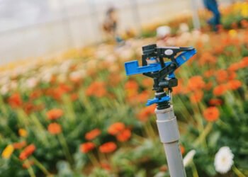 Transforming Lawns and Gardens