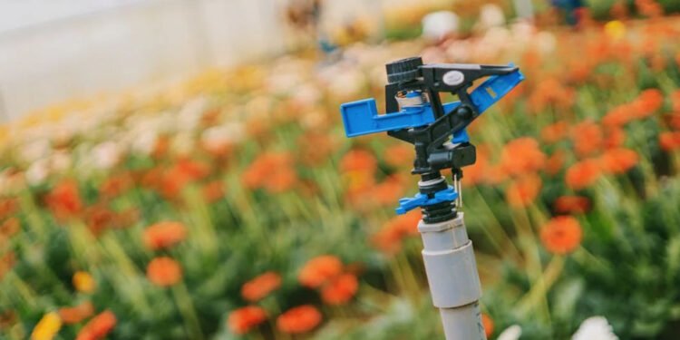 Transforming Lawns and Gardens