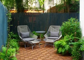 Cultivating a Beautiful and Mosquito-Free Yard