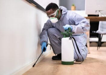 Nashville Home Pest-Free