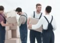 Navigating the Sea of Sarasota Movers