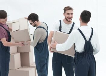 Navigating the Sea of Sarasota Movers