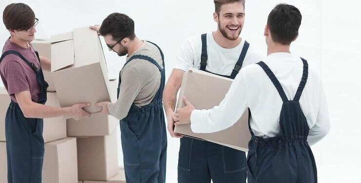 Navigating the Sea of Sarasota Movers