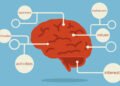 Segmentation in Psychographic Analysis