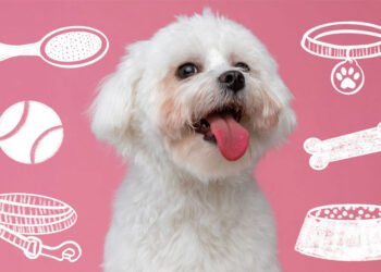 The Complete Puppy Care Starter Kit
