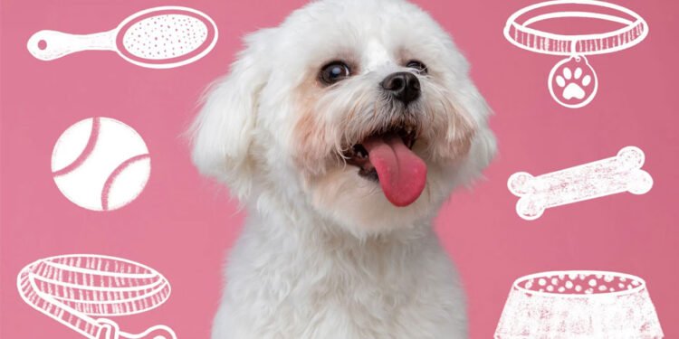 The Complete Puppy Care Starter Kit