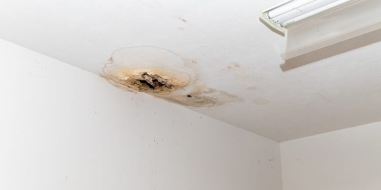 5 Strategies for Commercial Property Owners to Improve Water Use and Prevent Leaks