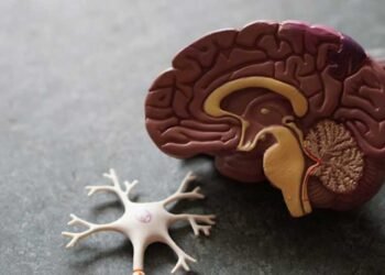 5-Ways-to-Improve-Brain-Function-and-Brain-Health-as-You-Age