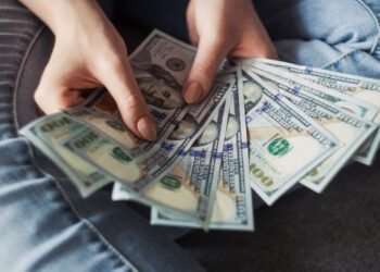 Ensuring Your Financial Stability as an Indian Expat in the US