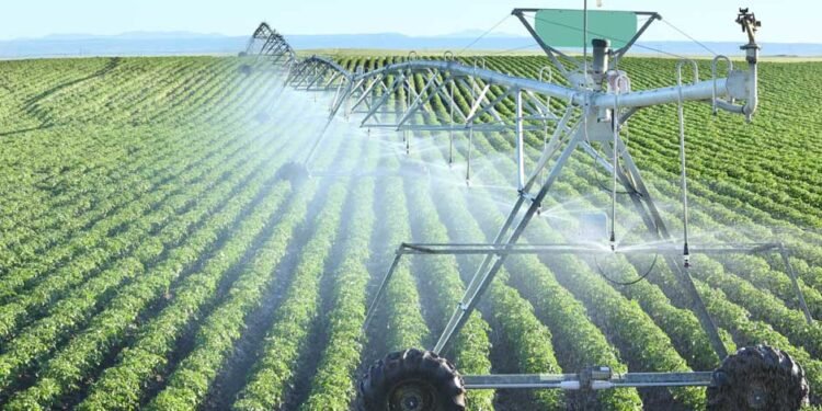 Field Water Management Services