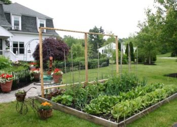 Homeowners To Safeguard Their Yards And Gardens